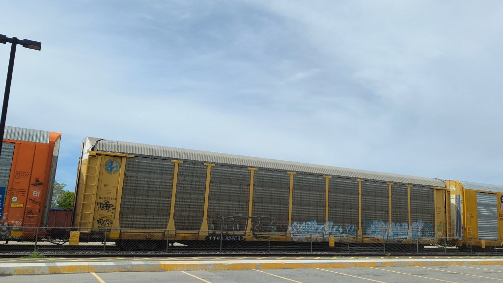 BNSF 23605 (Body) TTGX 994633 (Flat)